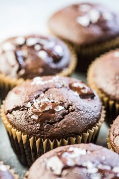 chocolate muffins with coconut flakes on top