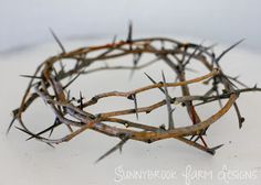 a crown of thorns on top of a white surface