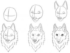 an image of how to draw wolf heads with different angles and shapes on the face