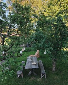 a picnic table in the middle of some trees and grass with an object on it