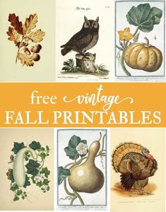 vintage fall printables with the title free vintage fall printables on them