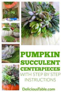 pumpkin succulent centerpieces with step by step instructions