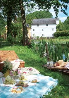 a picnic on the bank of a river