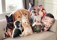 a group of dogs sitting on top of a couch next to pillows that have pictures of people