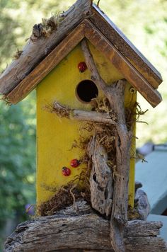 a bird house made out of drift wood