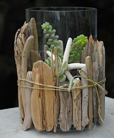 a glass vase filled with succulents and plants