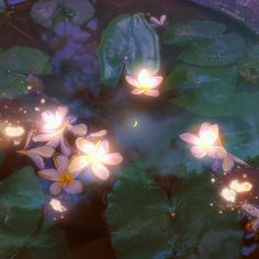 some water lilies floating on top of green leaves