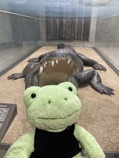 a stuffed alligator in a display case with an open mouth