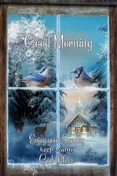 a christmas card with two blue birds sitting on a window sill and the words good morning