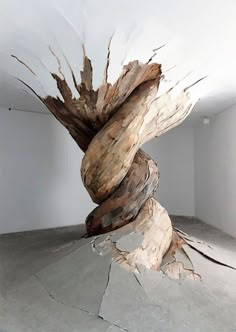 a tree that has been cut down and is in the middle of an empty room