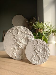 two white plates sitting on top of a wooden table next to a potted plant