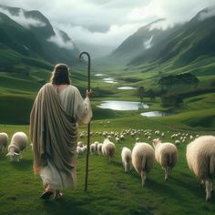 there is a man that is standing in the grass with sheep and holding a stick