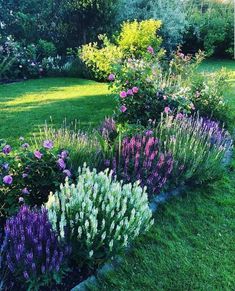 a garden filled with lots of purple and white flowers on top of green grass covered ground