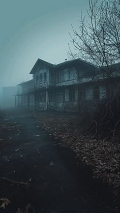 an old abandoned house in the fog on a dark day with no one around it