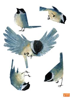 four birds are flying in the air with their wings spread