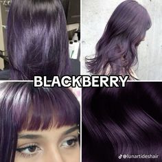 Light Purple And Dark Purple Hair, Blackberry Color Aesthetic, Different Hair Colors Ideas, No Bleach Purple Hair, 2024 Hair Colour Trend, Dark Brown Hair With Purple Underneath, Dark Color Hair Ideas, Purple Haired Characters, Blackberry Hair Color