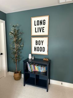 a living room with blue walls and a black book shelf next to a potted plant