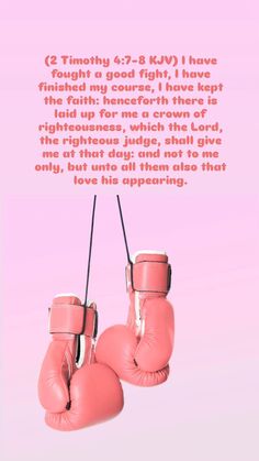 two pink boxing gloves hanging from a string with the words, i love this apparatus