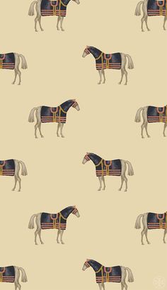 a horse with a blanket on it's back is standing in front of a beige background