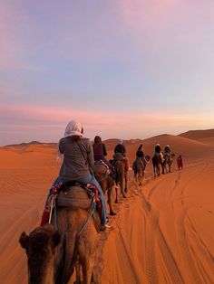 a group of people riding on the backs of camels in the desert at sunset