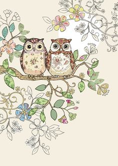 two owls sitting on a branch with flowers