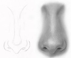 a drawing of a nose and an animal's nose