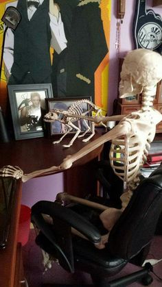 a skeleton sitting in an office chair next to a desk