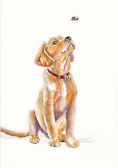 a watercolor painting of a dog looking up at a bee flying in the air