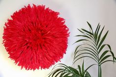 a large red ball hanging on the wall next to a potted plant and a white wall