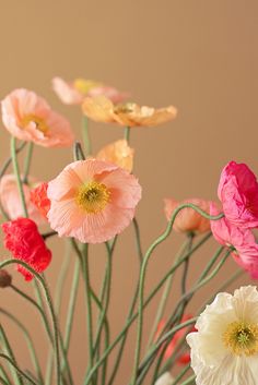 a vase filled with lots of different colored flowers