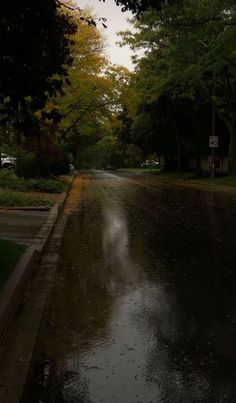 a wet street with trees and houses in the background