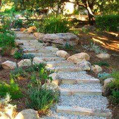 a stone path is surrounded by plants and rocks