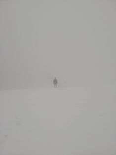 a person standing in the middle of a foggy field