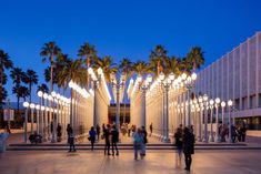 people are walking around in front of a building with palm trees and lights on it