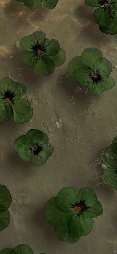 several green leaves floating on top of water