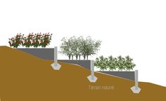 a diagram showing the different types of trees planted on top of a hill, and below