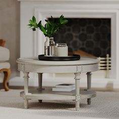 a table with a potted plant on top of it in front of a fireplace