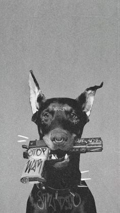 a black and white photo of a dog with some candy in its mouth, looking at the camera