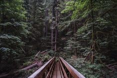 a wooden bridge in the middle of a forest