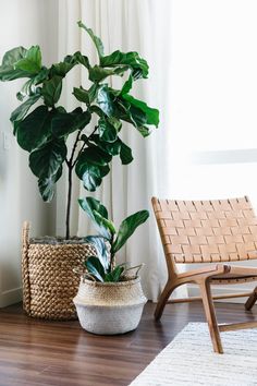 there are two plants in baskets on the floor