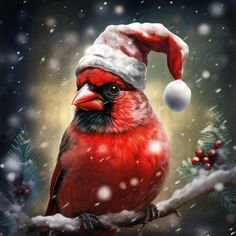 a red bird wearing a santa hat on a branch