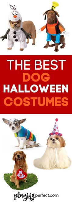 the best dog halloween costumes for dogs and pups to wear in their costume day