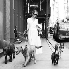 a woman is walking her dogs down the street