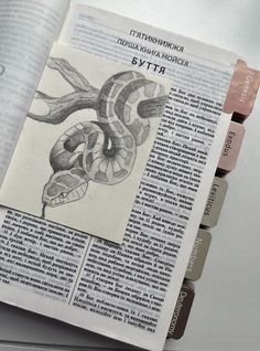 an open book with a drawing of a snake on it's page next to other books