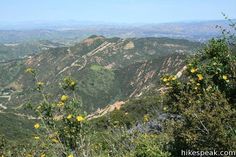 the mountains are covered in yellow flowers and green trees, with blue skies above them