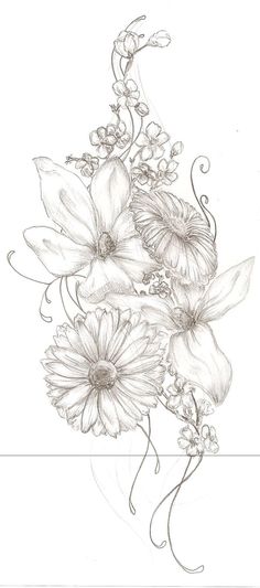 a pencil drawing of flowers on a white background