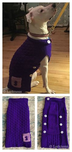 a dog wearing a purple sweater with buttons on it's chest and in the back