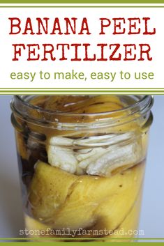 banana peel fertiizer in a jar with text overlay