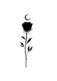 a black and white photo of a flower with the moon in the sky behind it