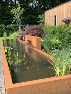 an outdoor pond with plants and fish in it